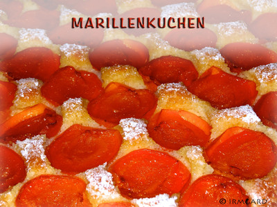 Marillenkuchen Rezept